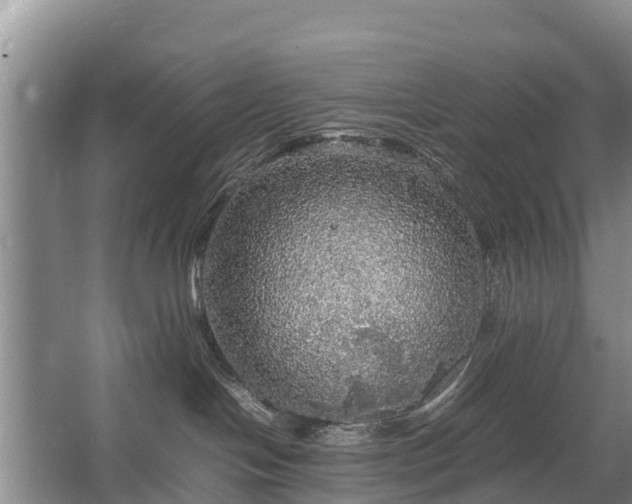 X0000067460094200604142336