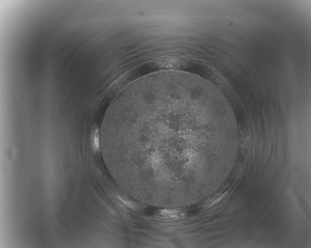 X0000067460095200604142336