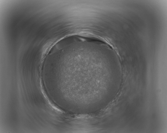 X0000067460097200604142335