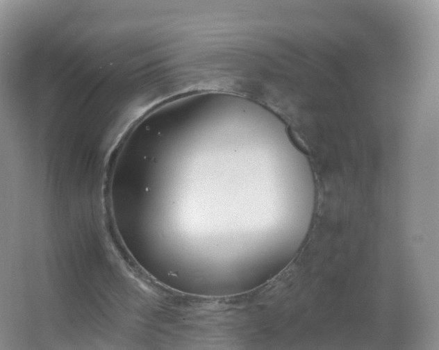 X0000067460098200604142335