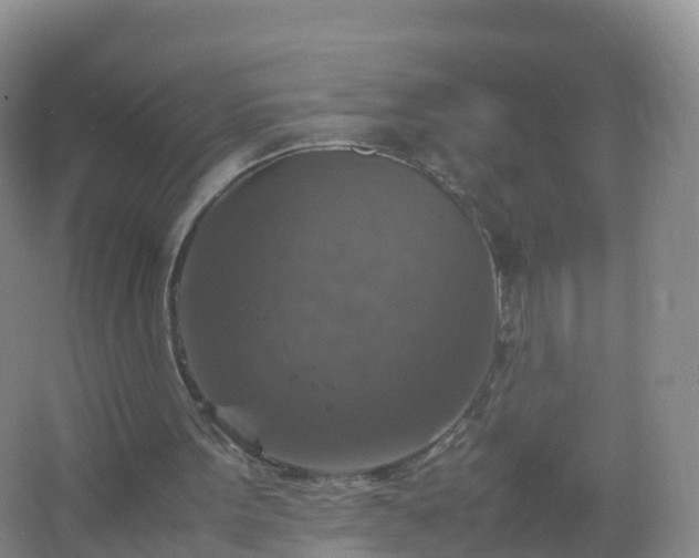 X0000067460099200604142335