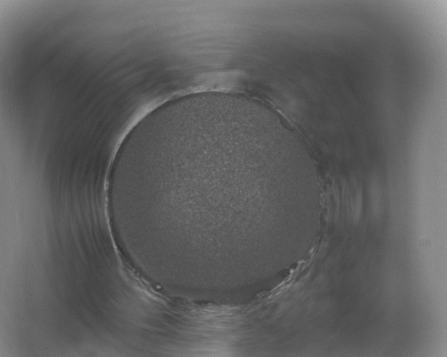 X0000067460100200604142335