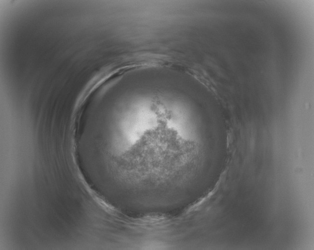 X0000067460101200604142335