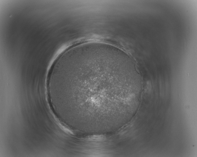 X0000067460102200604142335