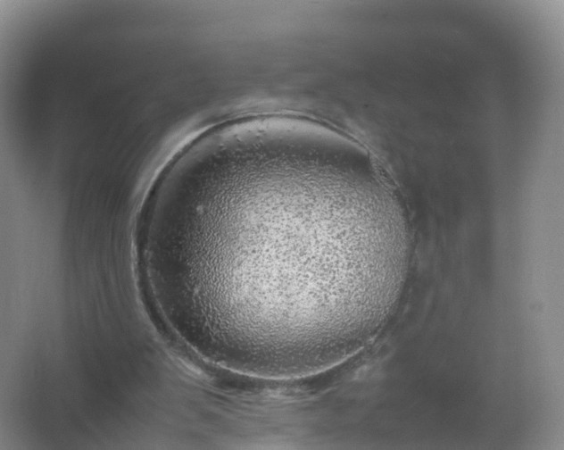 X0000067460103200604142335