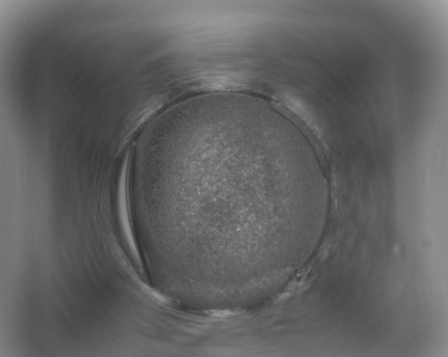 X0000067460105200604142335