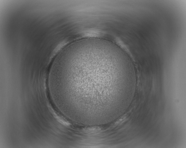 X0000067460106200604142335