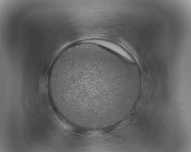 X0000067460107200604142335