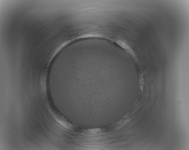 X0000067460108200604142335