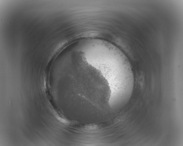 X0000067460110200604142335