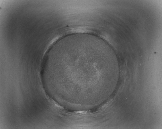 X0000067460111200604142335