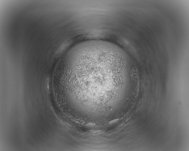 X0000067460115200604142335