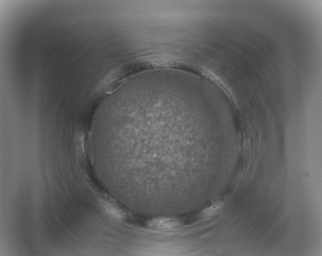 X0000067460117200604142335