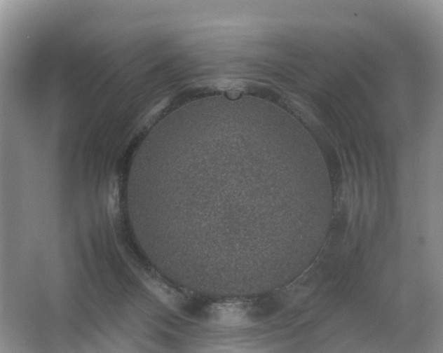 X0000067460120200604142334