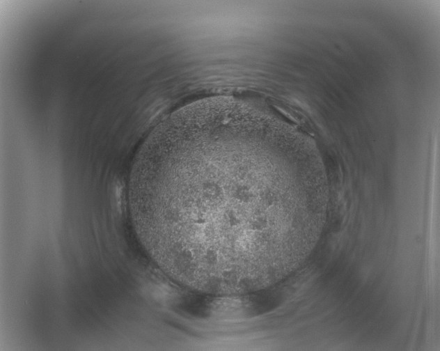 X0000067460123200604142334