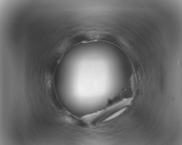 X0000067460125200604142334