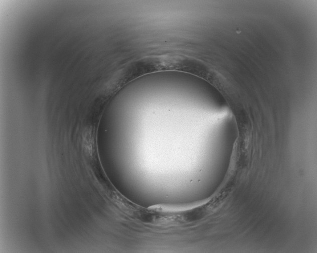 X0000067460129200604142334