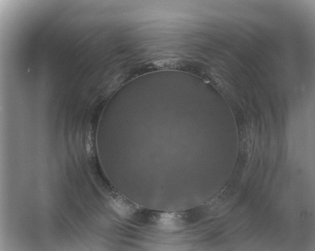 X0000067460130200604142334