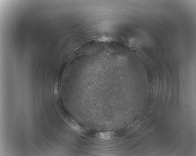 X0000067460134200604142334