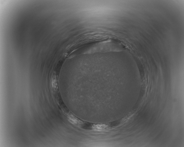 X0000067460137200604142334