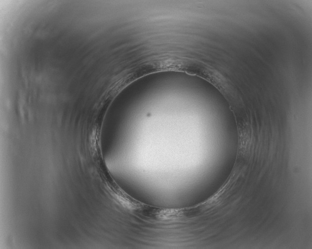 X0000067460142200604142334