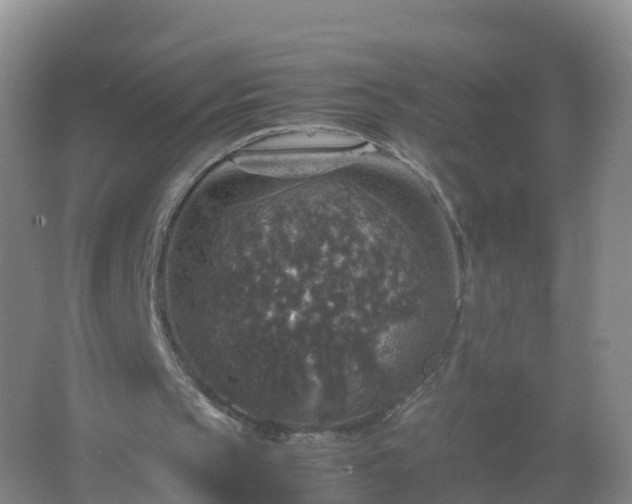 X0000067460145200604142333