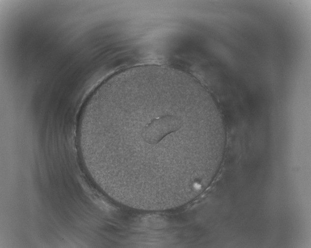 X0000067460146200604142333