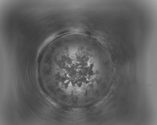 X0000067460149200604142333