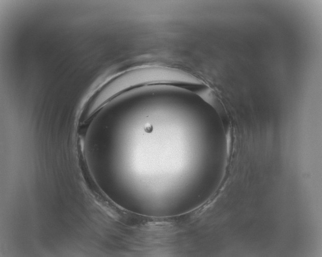 X0000067460150200604142333