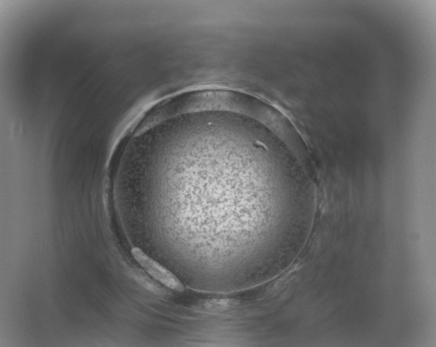 X0000067460152200604142333