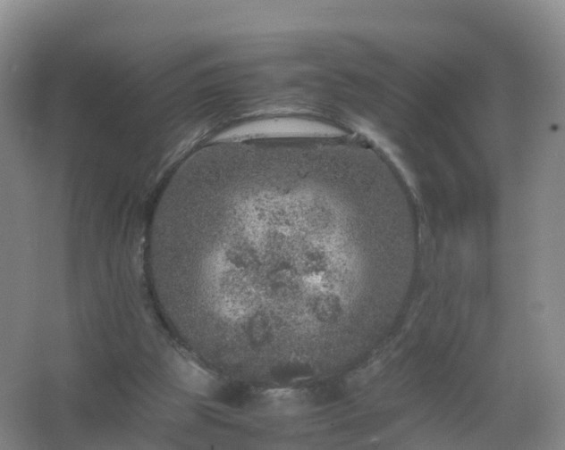 X0000067460153200604142333