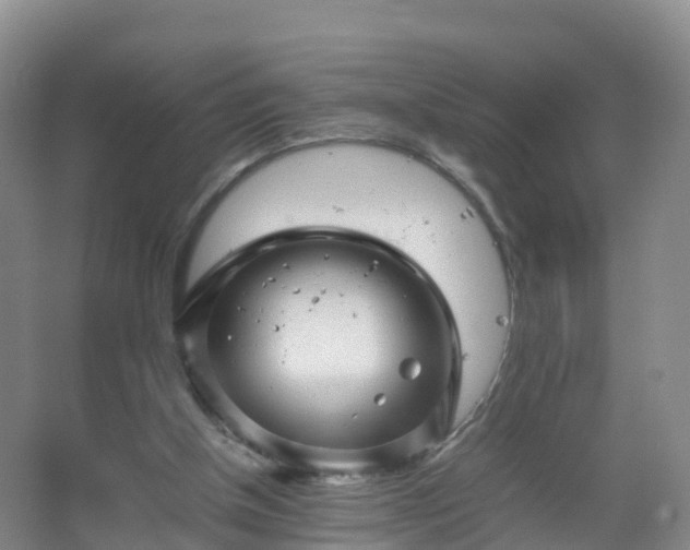 X0000067460154200604142333