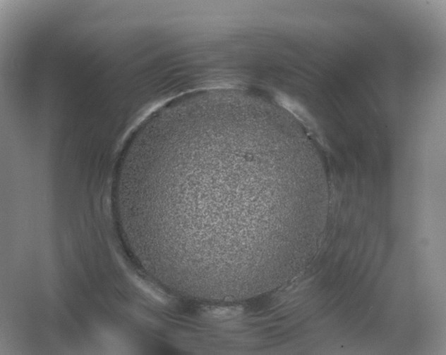 X0000067460155200604142333