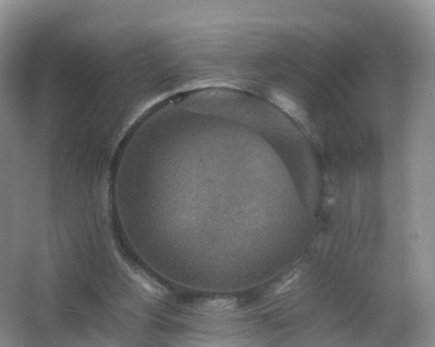 X0000067460156200604142333