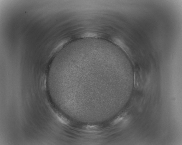 X0000067460157200604142333