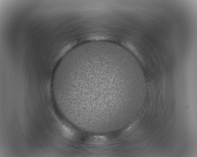 X0000067460159200604142334