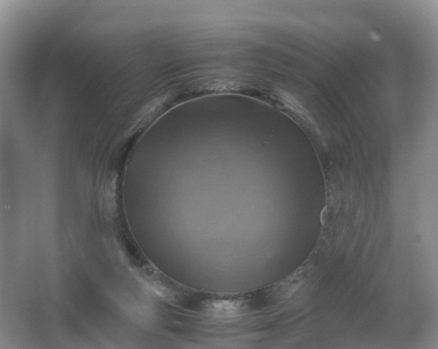 X0000067460163200604142334