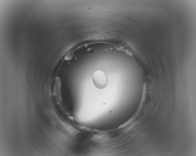 X0000067460164200604142334