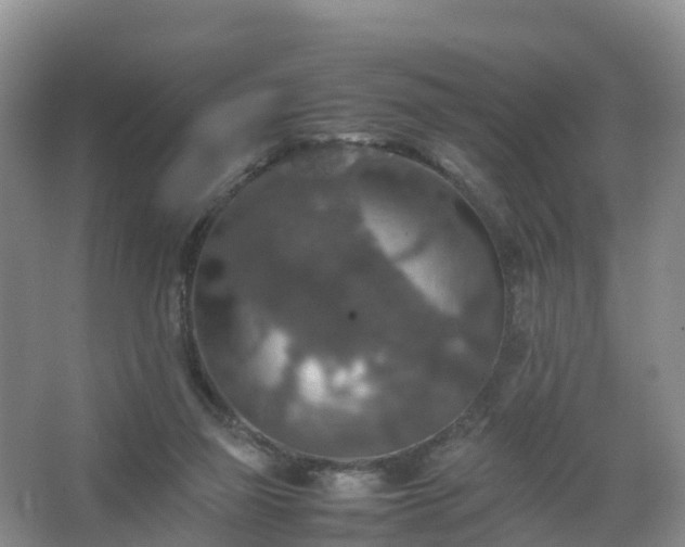 X0000067460165200604142334