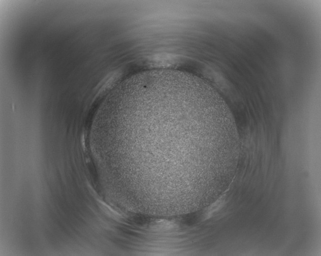 X0000067460166200604142334