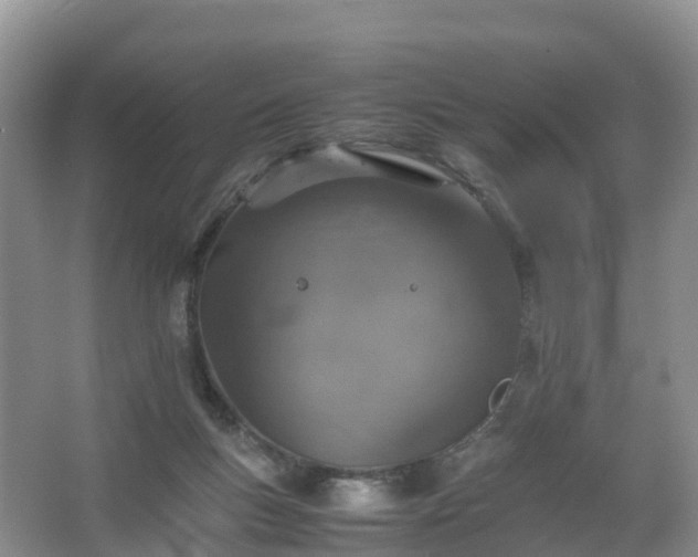 X0000067460167200604142334