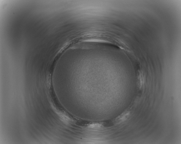 X0000067460168200604142334