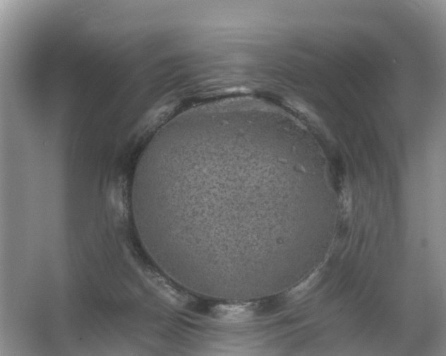 X0000067460170200604142334