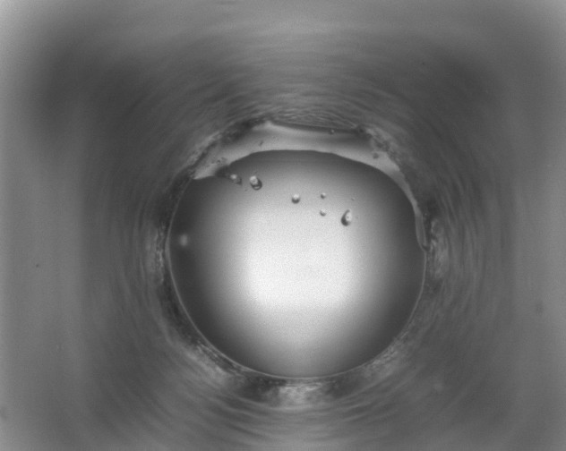 X0000067460172200604142334