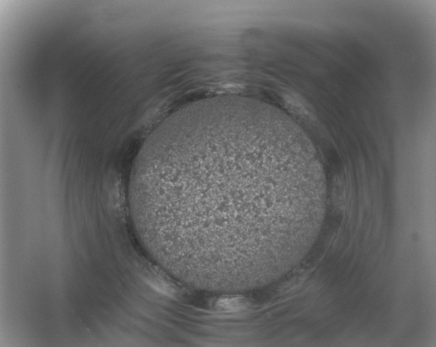 X0000067460173200604142334