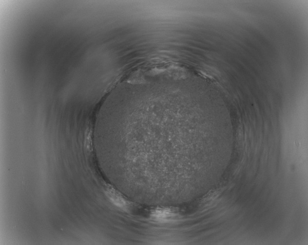 X0000067460177200604142334