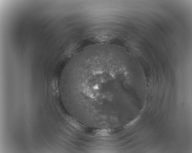 X0000067460182200604142334