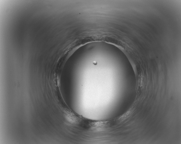 X0000067460184200604142334