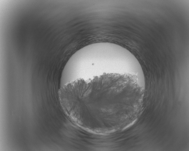 X0000067460185200604142334