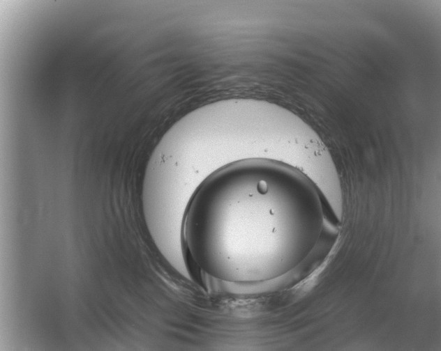 X0000067460186200604142334